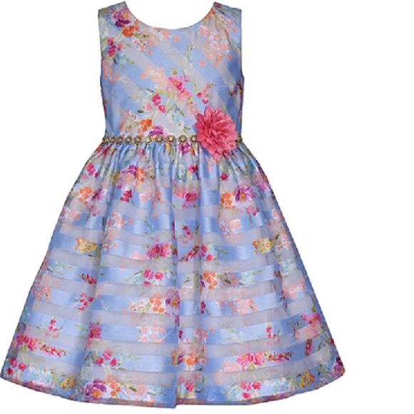 BNWT Bonnie Jean Big Girls Sleeveless Fit + Flare Premium Dress (16) - Picture 2 of 10